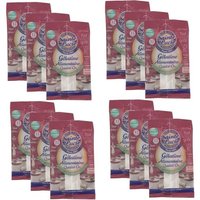 Lot 12x Gélatine alimentaire - Sainte Lucie - sachet 12g