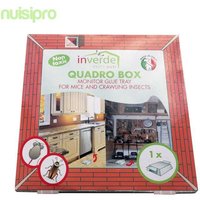 NUISIPRO Boîte piège 2 en 1, Anti cafard et Anti Souris …