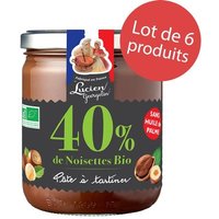 LOT 6 x Pâte à tartiner 40% de noisettes BIO 400G