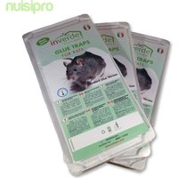 Piège à colle, 3 lots = 6 plaques plastique de glu anti rat et anti souris - NUISIPRO
