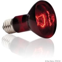 Ampoule A Infrarouge Pour Lezarder 150w - Exo Terra - Rouge - Eclairage
