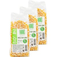 Grain de Frais - Lot 3x Mais pop-corn BIO - Paquet 500g