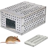 Piège à Rongeurs Rats, Souris - Cage Pliable en Acier Galvanisé - 30 x 22 x 15 cm - Usage Intérieur - Extérieur