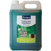 Starol nettoyant assainissant pin - 5 L
