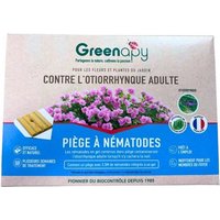Piège Otiorrhynque adulte