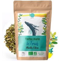 Yerba Maté Menthe Citron – Le Frais