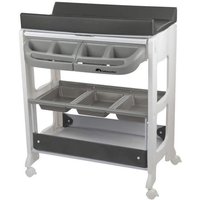 BEBECONFORT Dolphy Table à langer et baignoire 2en 1 De la naissance à 12 mois (11kg) Gray Mist