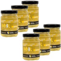 Lot 6x Miel d'Acacia - Monts du Lyonnais - Rhône Alpes - Le Rucher de Macameli - pot 125g