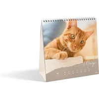 CEWE Square Weekly Desk Calendar | High-quality & Easy To Write On | Personalise All 53 Weeks