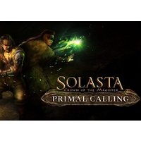 Solasta Crown of the Magister - Primal Calling DLC Steam Key