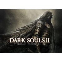 Dark Souls 2 Scholar of the First Sin RU/CIS (Steam)