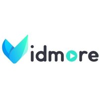 Vidmore Video Converter 1 Year 1 Global (Software License)