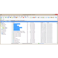 Xyplorer - Mini Site Professional Key (Lifetime / 50 Users)