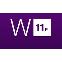 Windows 11 Professional + MS Office Professional Plus 2021 - Bundle