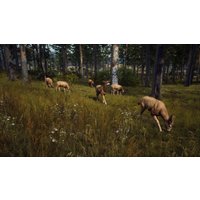Way of the Hunter Xbox Series X|S Account