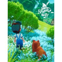 Everdream Valley Steam Account