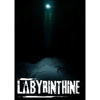 Labyrinthine Steam Account
