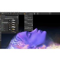 Corel Painter 2023 Key (Lifetime / 10 Devices)