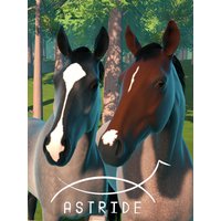 Astride Steam Account