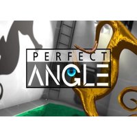 Perfect Angle The puzzle game based on optical illusions Global Steam Key