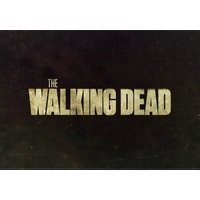The Walking Dead EN EU (Steam)