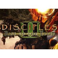 Disciples II Rise of the Elves EN Global Steam Key