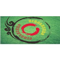 Circlecers Steam Key
