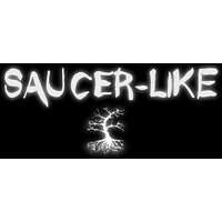 Saucer-Like Steam Key
