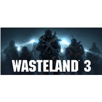 Wasteland 3 Steam Key