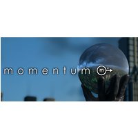 Momentum Steam Key