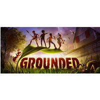 Grounded Steam Key: Europe & UK