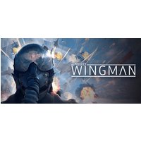 Project Wingman Steam Key: Europe & UK
