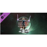 Destiny 2: Season of the Chosen Silver Bundle Steam Key