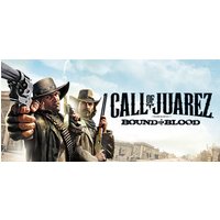 Call of Juarez: Bound in Blood Steam Key