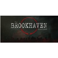 The Brookhaven Experiment Steam Key