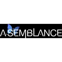 Asemblance Digital Copy Key (Playstation 4)