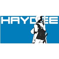 Haydee Steam Key