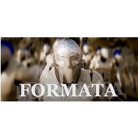 Formata Steam Key