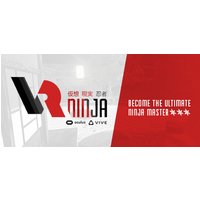 VRNinja Steam Key