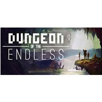 Dungeon of the Endless Crystal Edition Steam Key