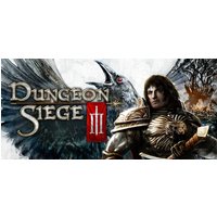 Dungeon Siege III Steam Key