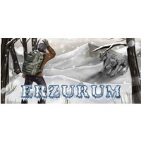 Erzurum Steam Key: Europe & UK