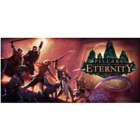 Pillars of Eternity: Champion Edition Steam Key