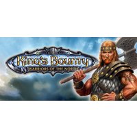 King's Bounty: Warriors of the North Valhalla Edition Steam Key