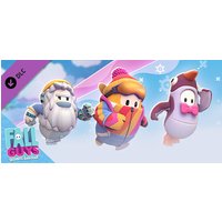 Fall Guys - Icy Adventure Pack Steam Key: Europe & UK