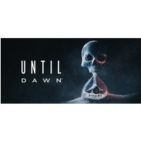 Until Dawn Steam Key: ROW