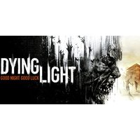 Dying Light Platinum Edition Steam Key: Global