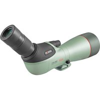 TSN PROMINAR Zoom Kit