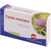 Cardo mariano es 60cpr