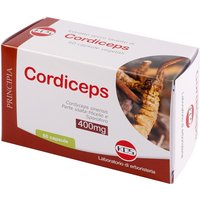 Cordiceps estratto secco 60cps